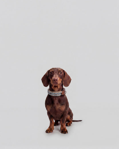 Rodeo Family - Guinzaglio e collare Mocha